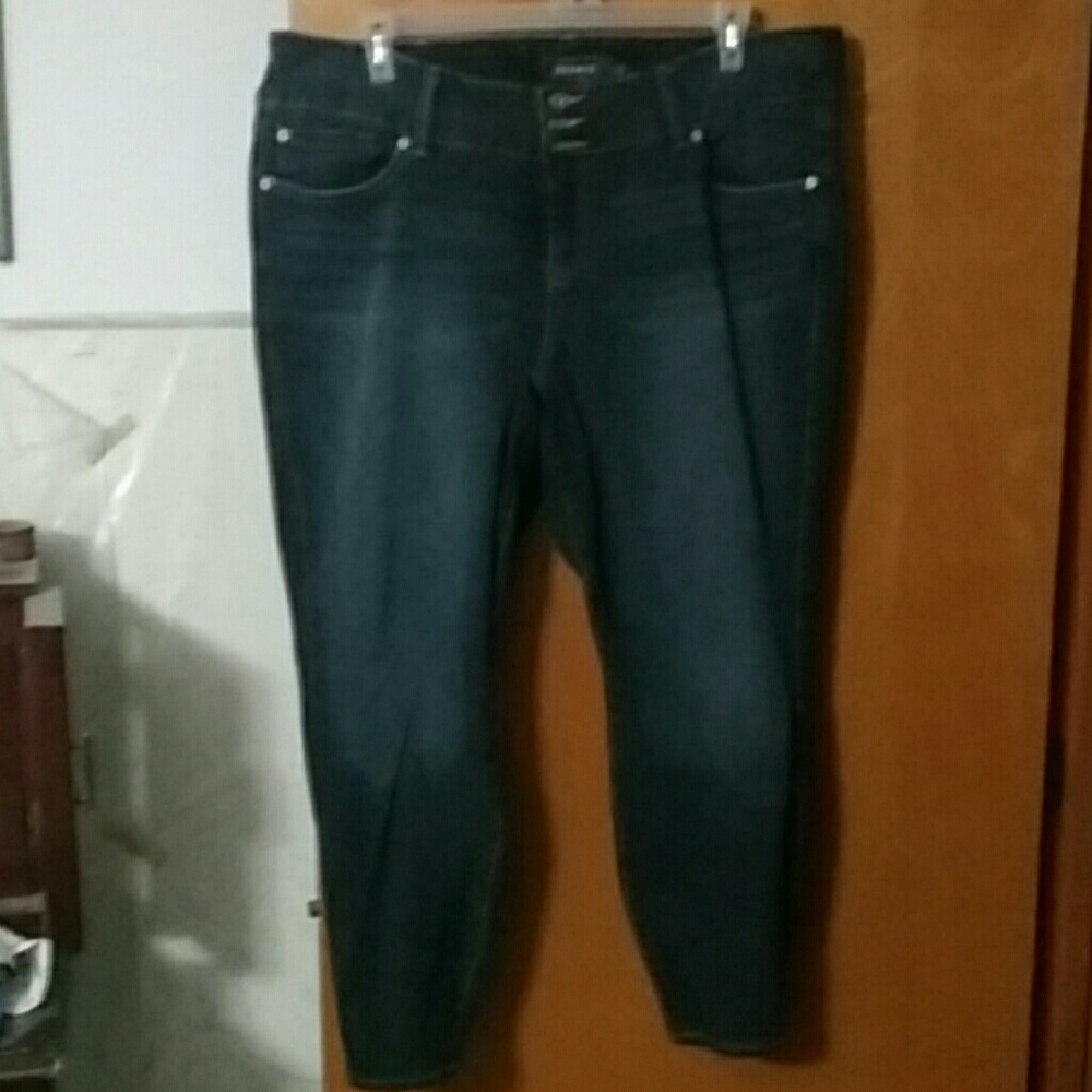 Torrid skinny jeans size 24